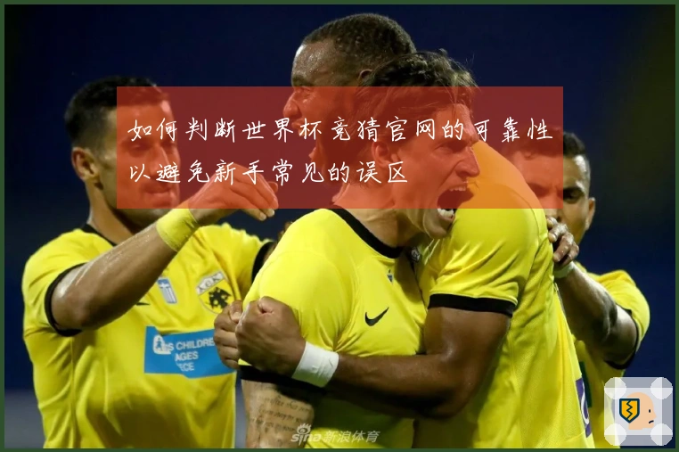 如何判断世界杯竞猜官网的可靠性以避免新手常见的误区