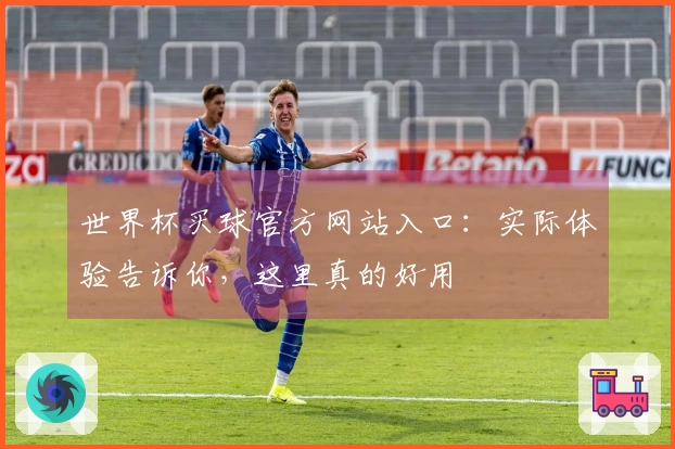 世界杯买球官方网站入口：实际体验告诉你，这里真的好用