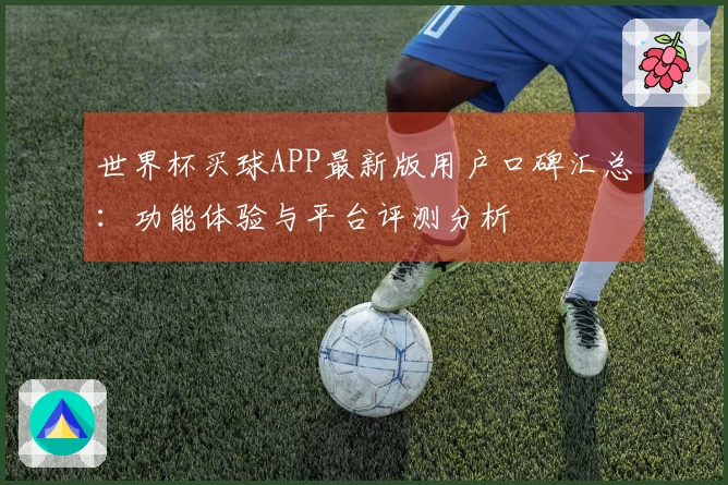 世界杯买球APP最新版用户口碑汇总：功能体验与平台评测分析