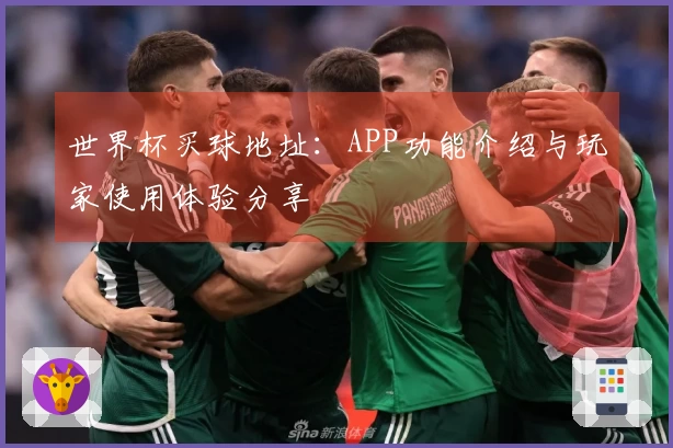 世界杯买球地址：APP功能介绍与玩家使用体验分享