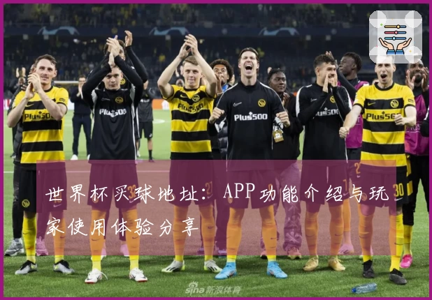 世界杯买球地址:APP功能介绍与玩家使用体验分享