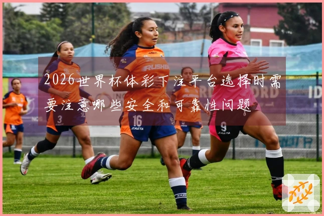 2026世界杯体彩下注平台选择时需要注意哪些安全和可靠性问题