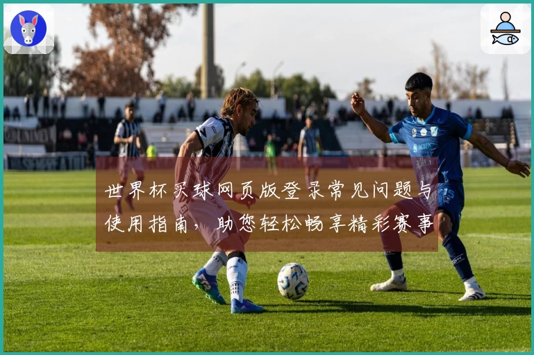世界杯买球网页版登录常见问题与使用指南，助您轻松畅享精彩赛事体验