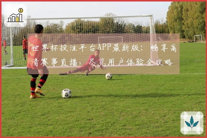 世界杯投注平台APP最新版：畅享高清赛事直播，尽览用户体验全攻略