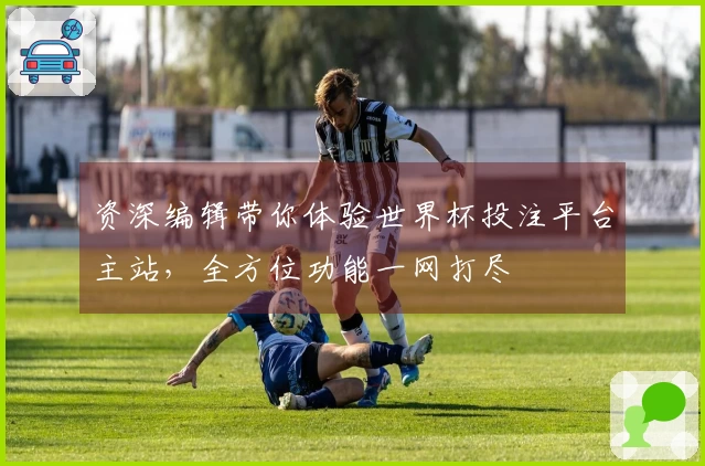 资深编辑带你体验世界杯投注平台主站，全方位功能一网打尽