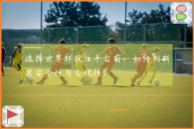 选择世界杯投注平台前，如何判断其安全性与合规性？