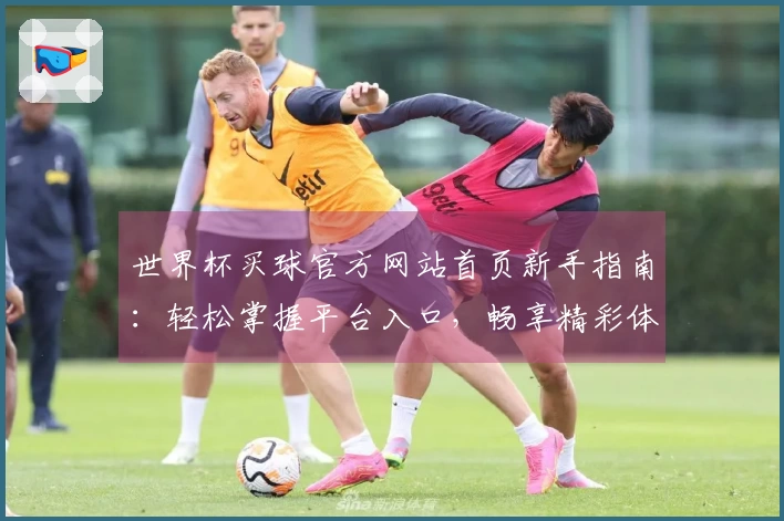 世界杯买球官方网站首页新手指南：轻松掌握平台入口，畅享精彩体育赛事体验
