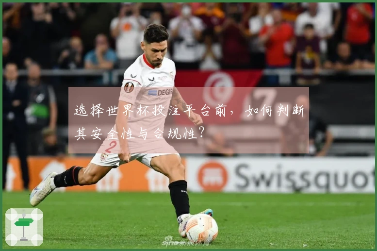 选择世界杯投注平台前，如何判断其安全性与合规性？
