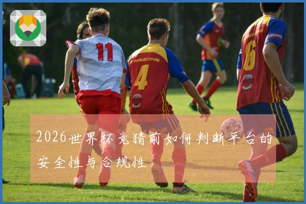 2026世界杯竞猜前如何判断平台的安全性与合规性
